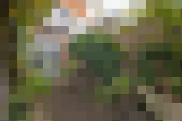 Willem de Clercqstraat 45 Hengelo thumbnail 38