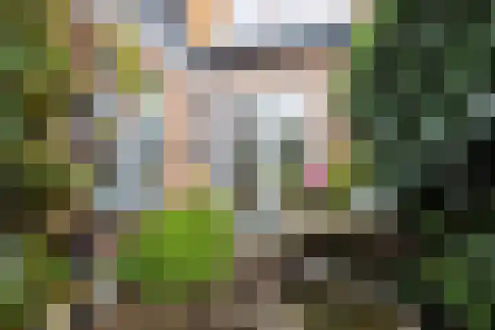 Willem de Clercqstraat 45 Hengelo thumbnail 39