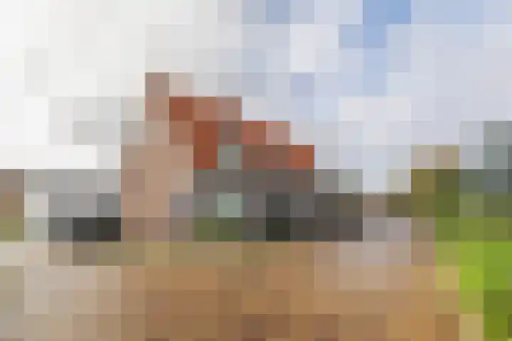 Willem de Clercqstraat 45 Hengelo thumbnail 4