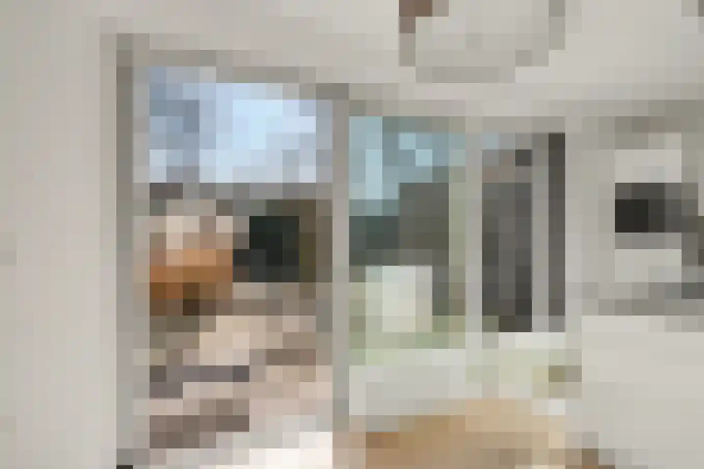 Willem de Clercqstraat 49 Almelo thumbnail 16
