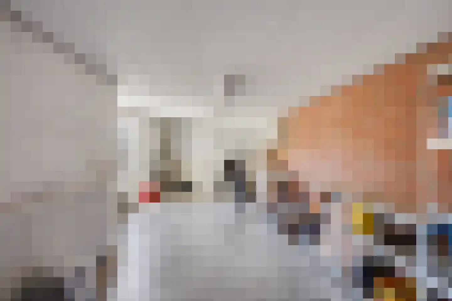 Willem de Clercqstraat 49 Almelo thumbnail 31