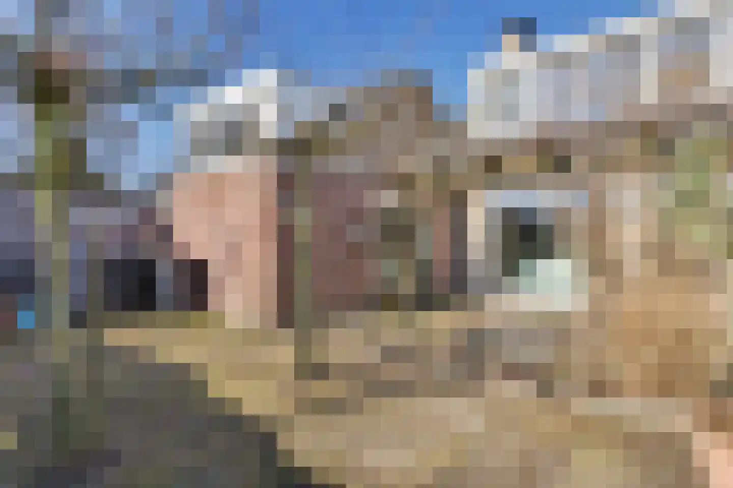 Willem de Clercqstraat 49 Almelo thumbnail 36