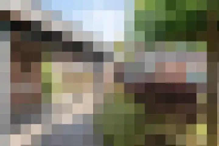 Willem de Clercqstraat 61 Hengelo thumbnail 33