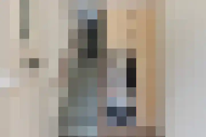 Willem de Clercqstraat 61 Hengelo thumbnail 6