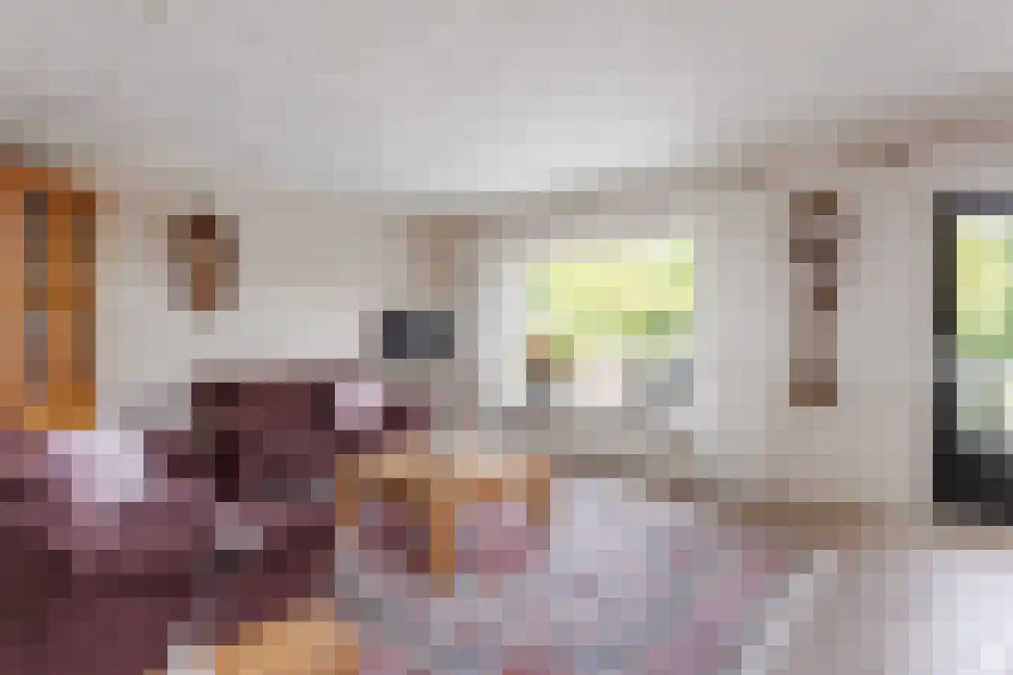 Willem de Clercqstraat 62 Nijverdal thumbnail 5