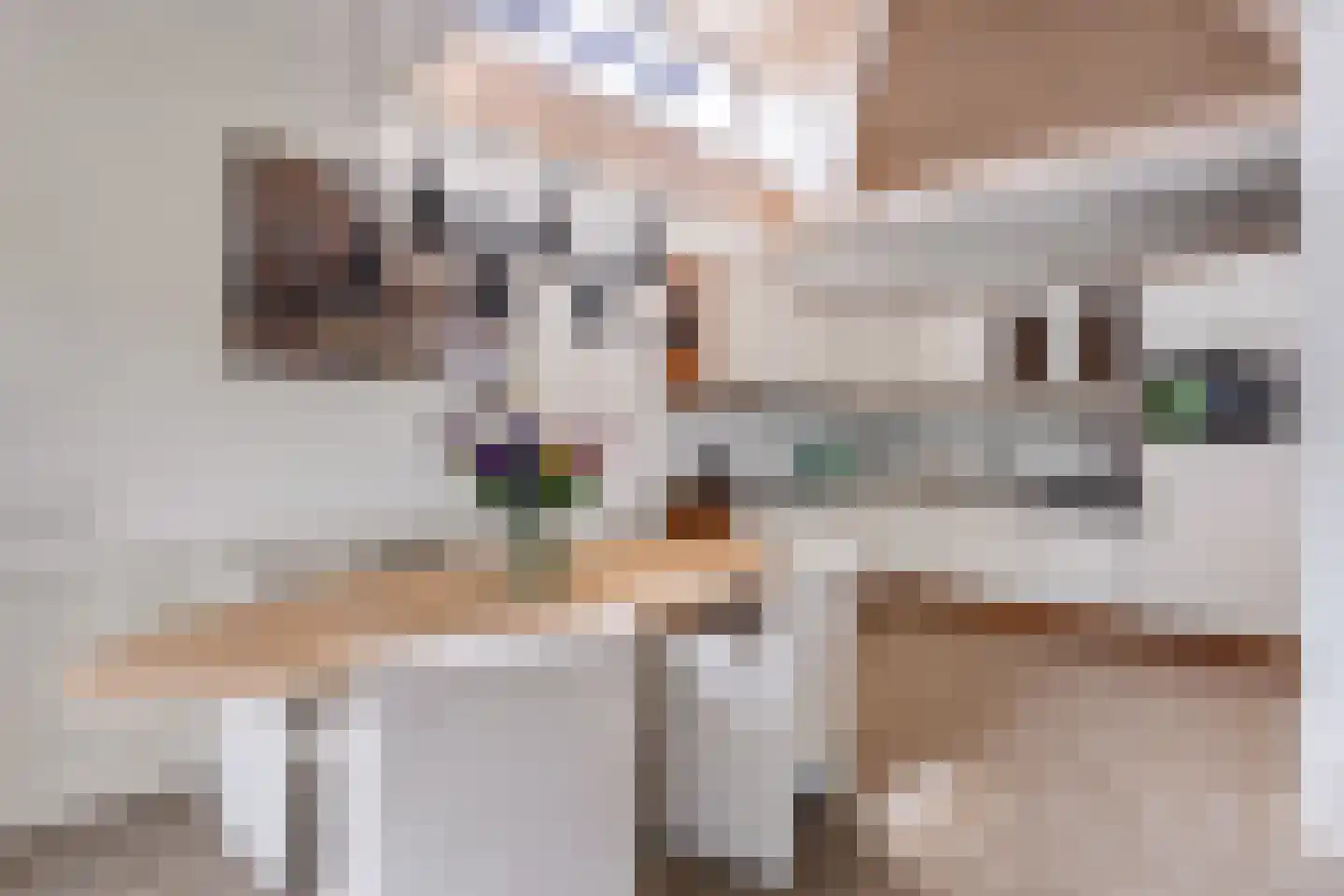 Willem de Clercqstraat 62 Nijverdal thumbnail 7