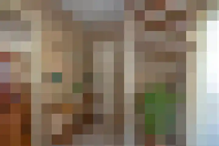 Willem de Clercqstraat 69 Almelo thumbnail 13