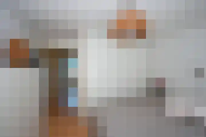 Willem de Clercqstraat 69 Almelo thumbnail 16