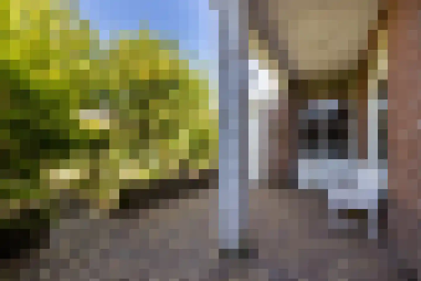 Willem de Clercqstraat 7 Almelo thumbnail 27
