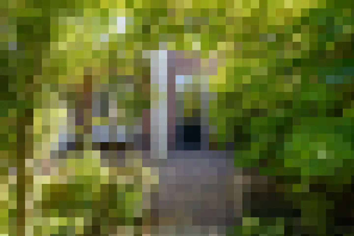 Willem de Clercqstraat 7 Almelo thumbnail 30