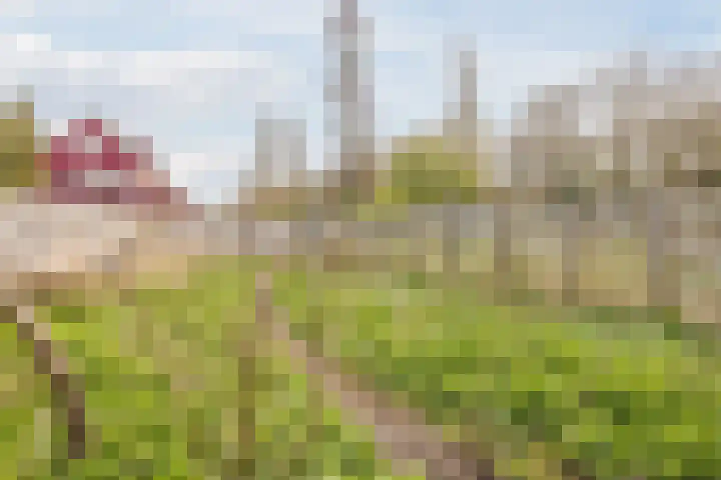 Willem de Goedeweg 1 Zwijndrecht thumbnail 11