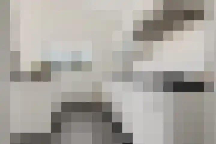 Willem de Grootstraat 2 Wormer thumbnail 13