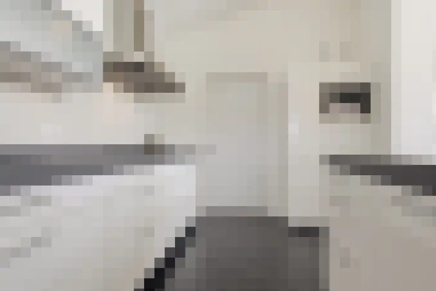 Willem de Grootstraat 2 Wormer thumbnail 15
