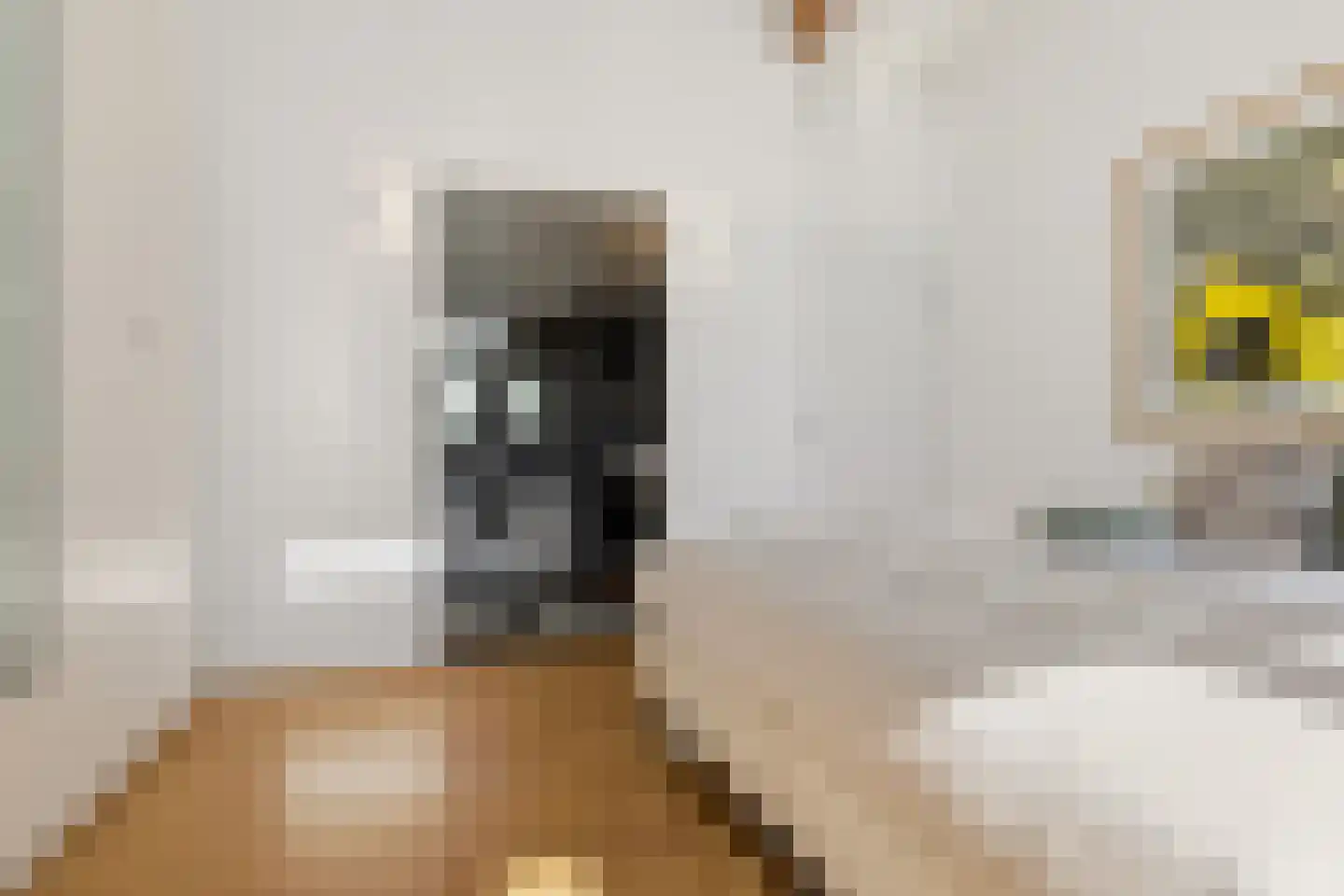 Willem de Grootstraat 2 Wormer thumbnail 27