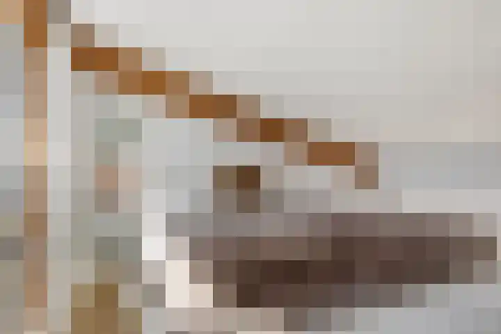 Willem de Grootstraat 2 Wormer thumbnail 34