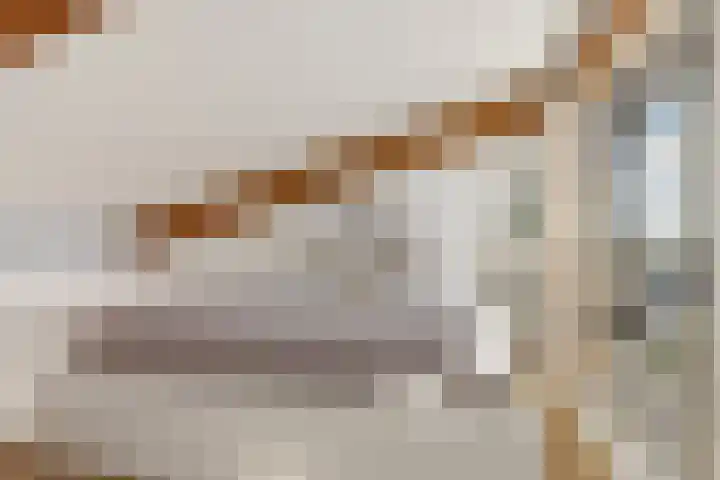 Willem de Grootstraat 2 Wormer thumbnail 43