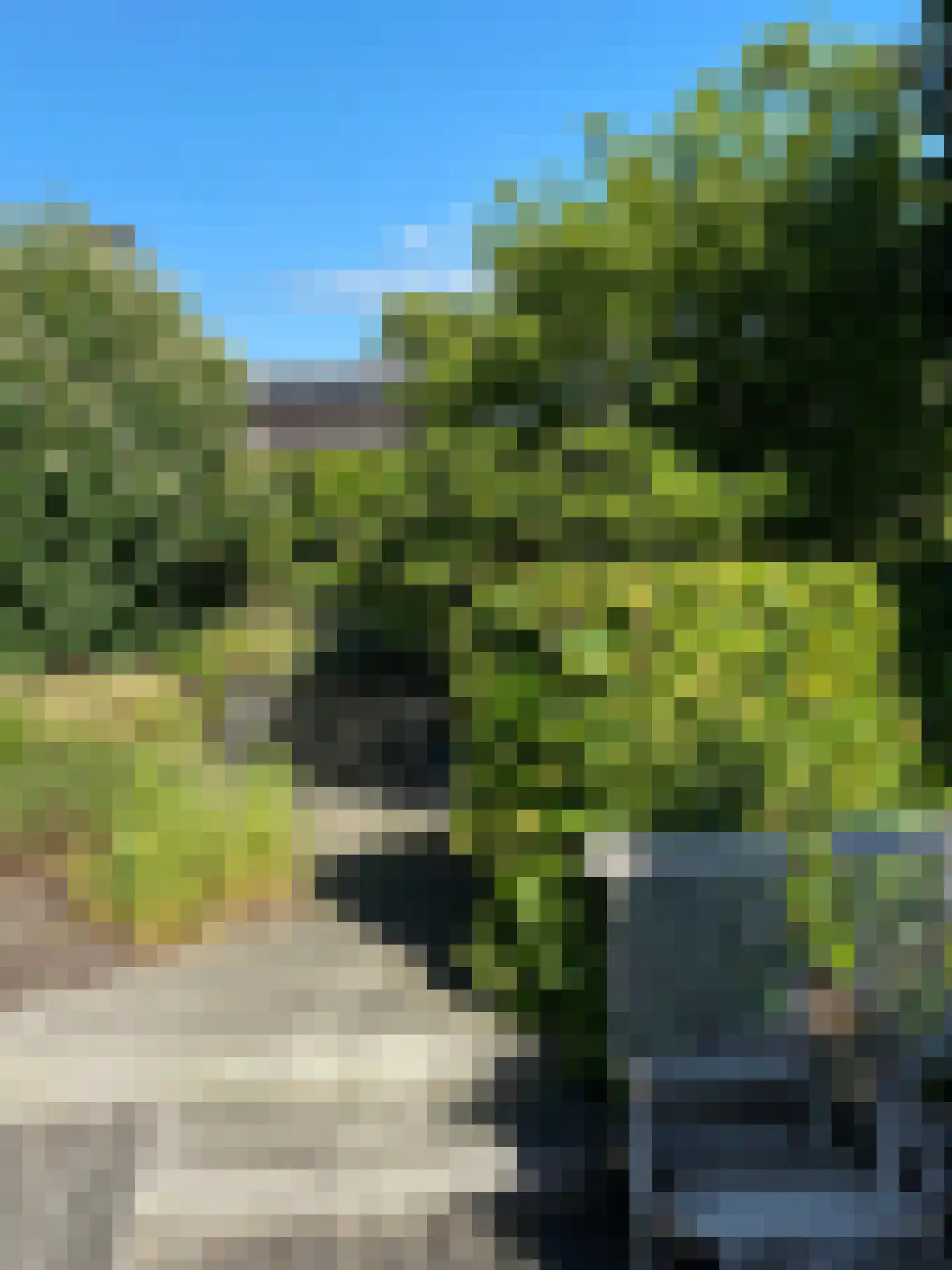 Willem de Grootstraat 2 Wormer thumbnail 63