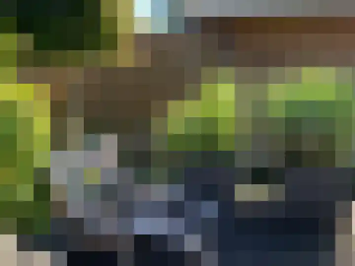 Willem de Grootstraat 2 Wormer thumbnail 64