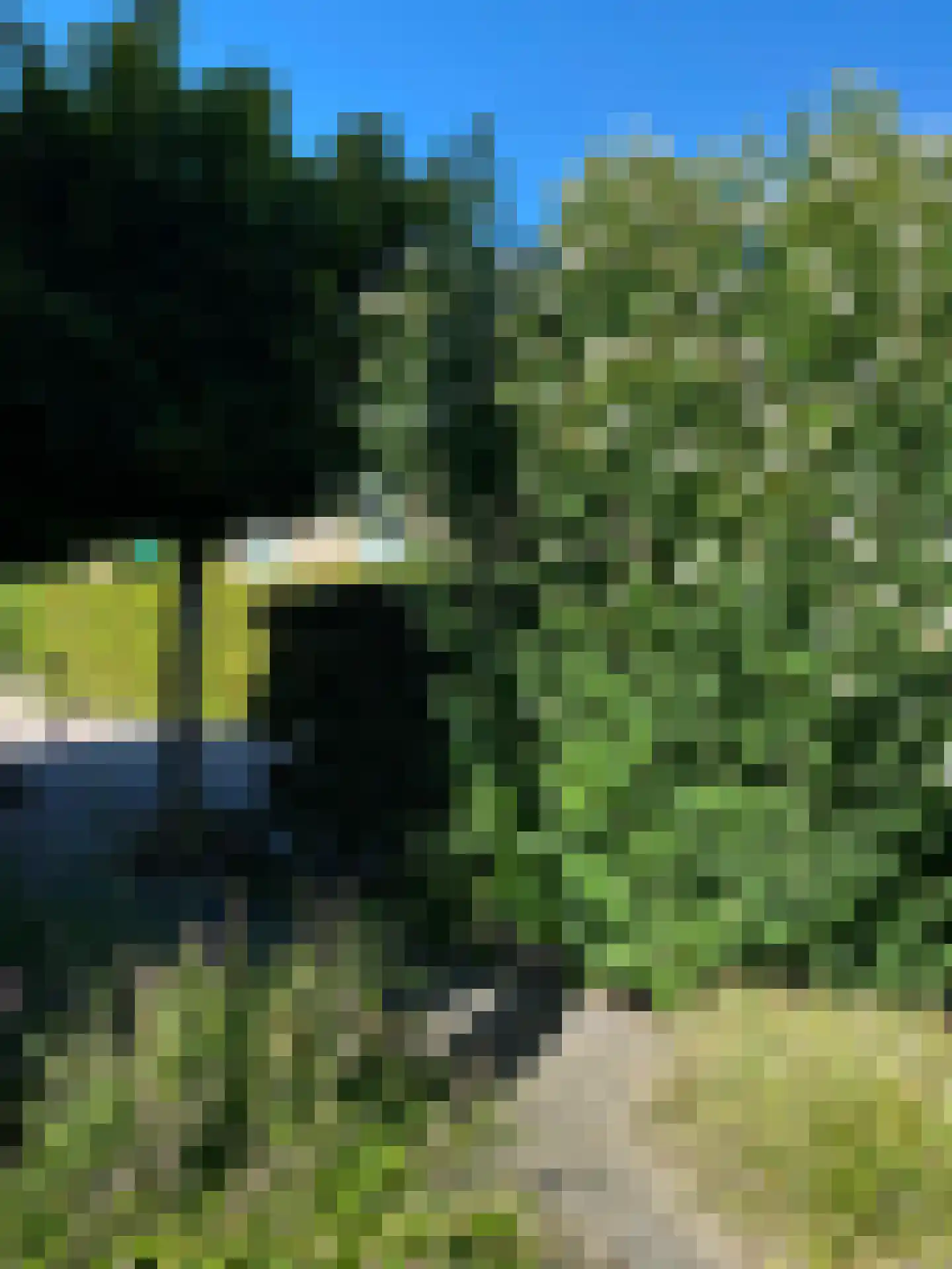 Willem de Grootstraat 2 Wormer thumbnail 64