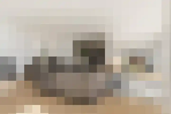 Willem de Grootstraat 2 Wormer thumbnail 7