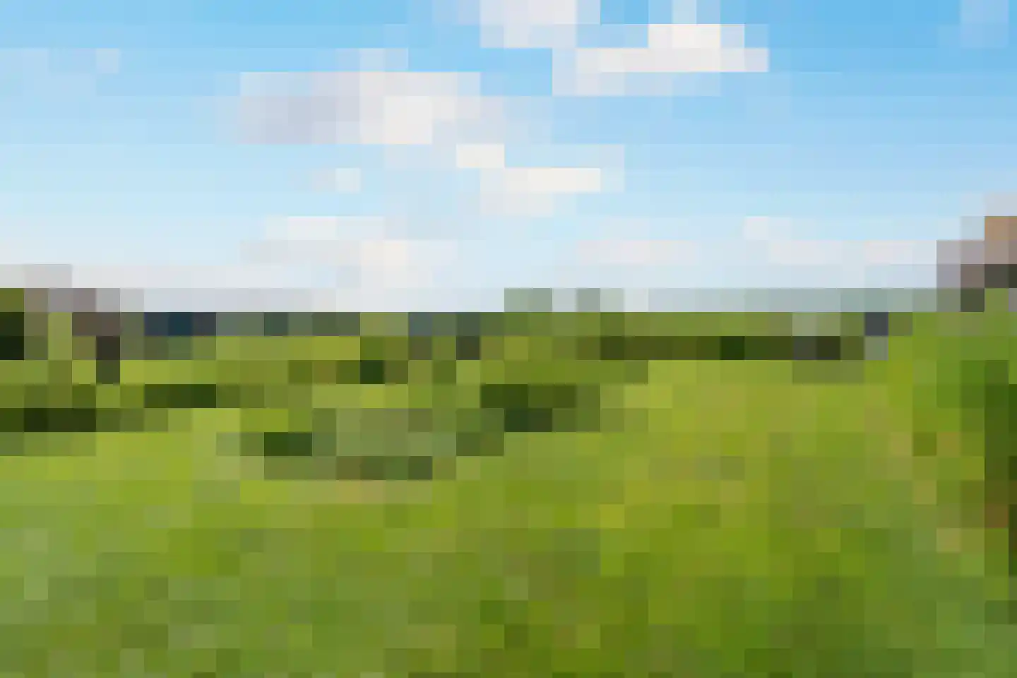Willem de Grootstraat 9 Wormer thumbnail 17