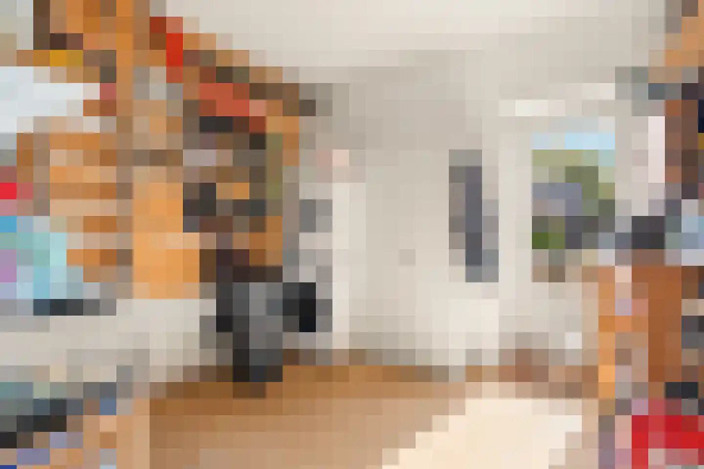 Willem de Grootstraat 9 Wormer thumbnail 21