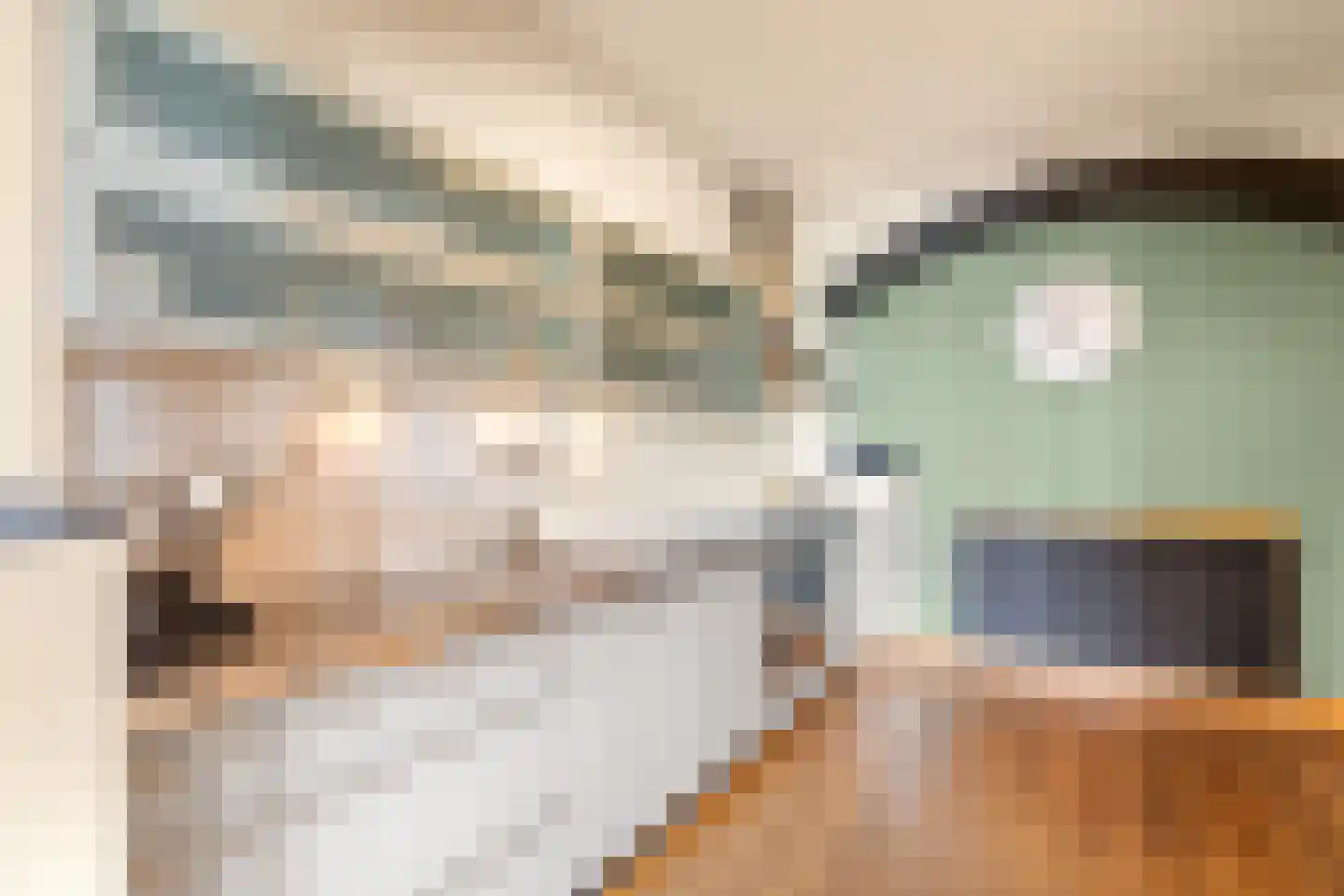 Willem de Grootstraat 9 Wormer thumbnail 28