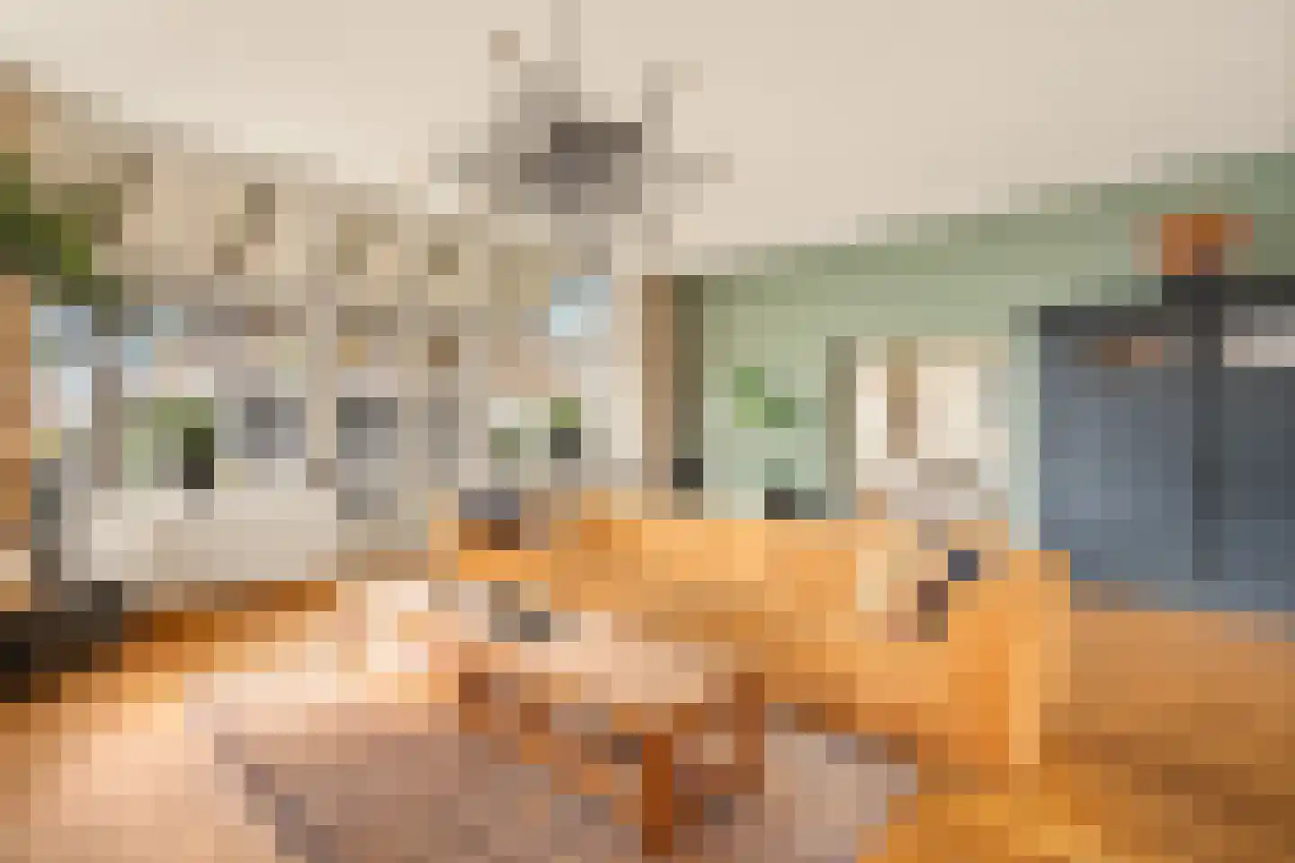 Willem de Grootstraat 9 Wormer thumbnail 30