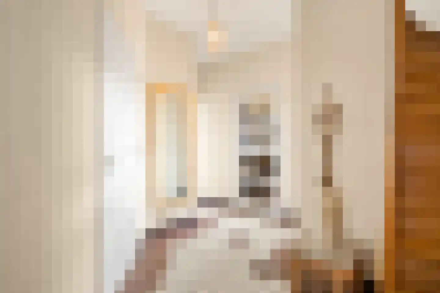 Willem de Grootstraat 9 Wormer thumbnail 40