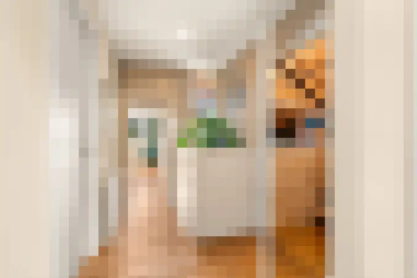 Willem de Grootstraat 9 Wormer thumbnail 42