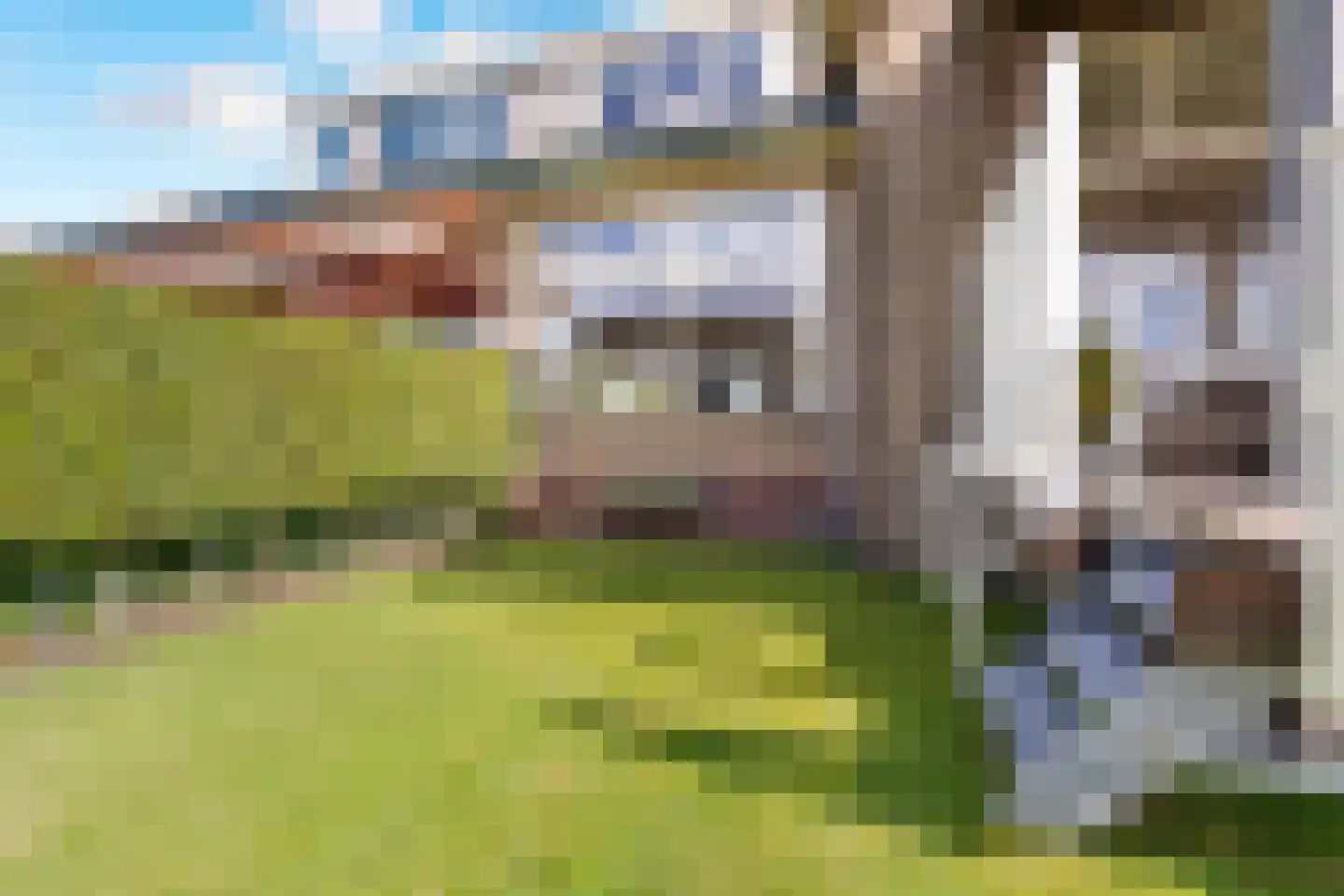 Willem de Grootstraat 9 Wormer thumbnail 9