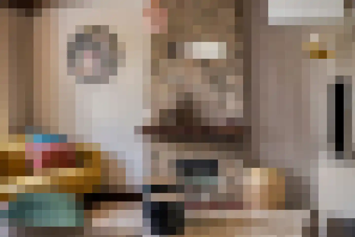 Willem de Haasstraat 6 Gemert thumbnail 10
