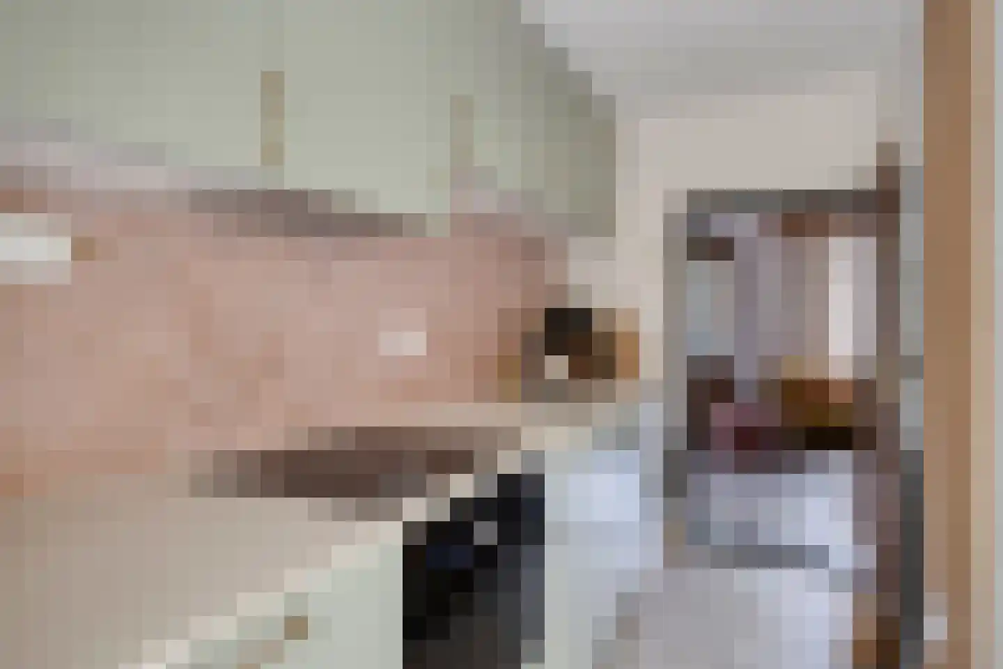 Willem de Haasstraat 6 Gemert thumbnail 15