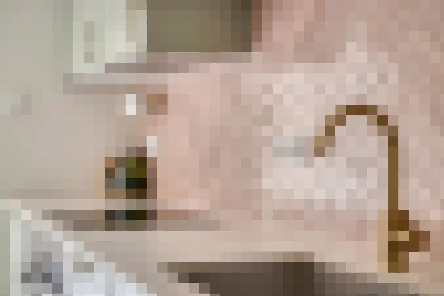 Willem de Haasstraat 6 Gemert thumbnail 16