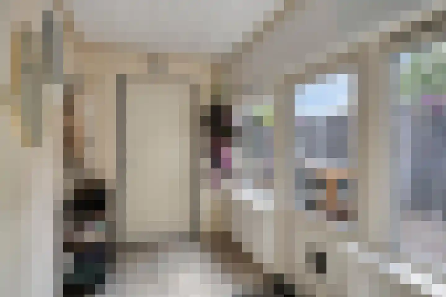Willem de Haasstraat 6 Gemert thumbnail 18