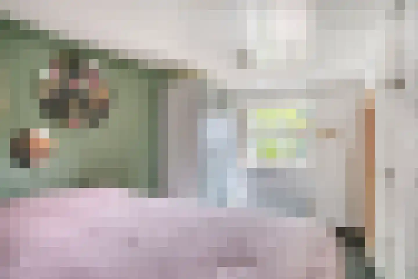 Willem de Haasstraat 6 Gemert thumbnail 19