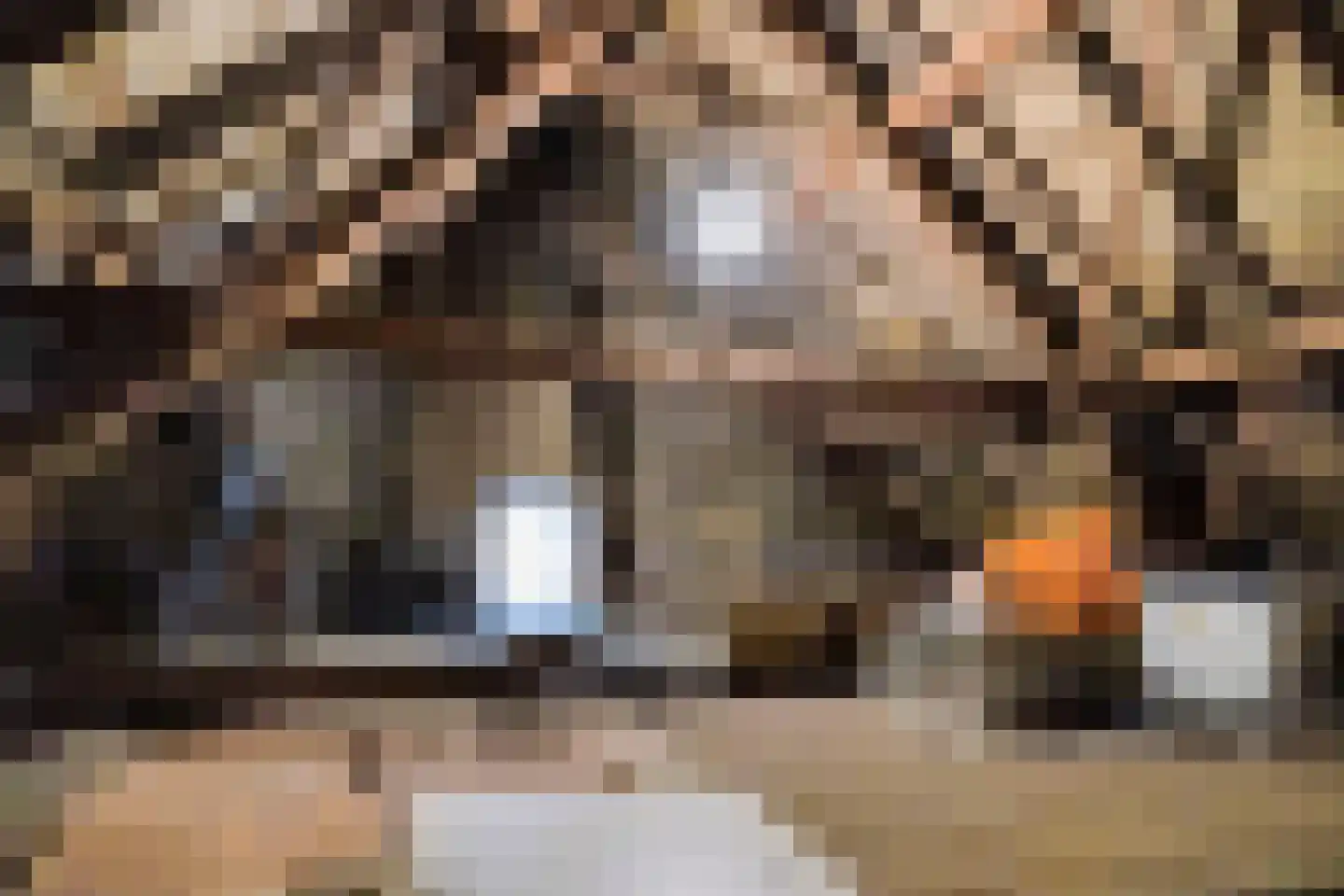 Willem de Haasstraat 6 Gemert thumbnail 25