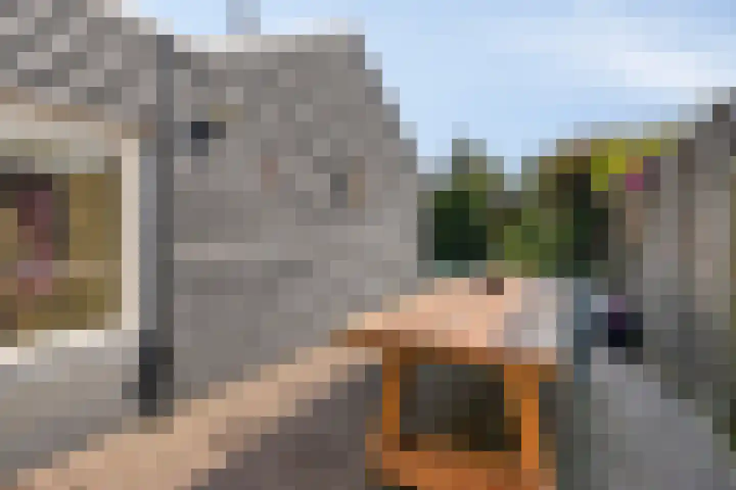Willem de Haasstraat 6 Gemert thumbnail 26