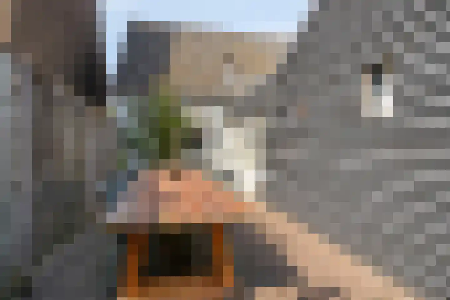 Willem de Haasstraat 6 Gemert thumbnail 27
