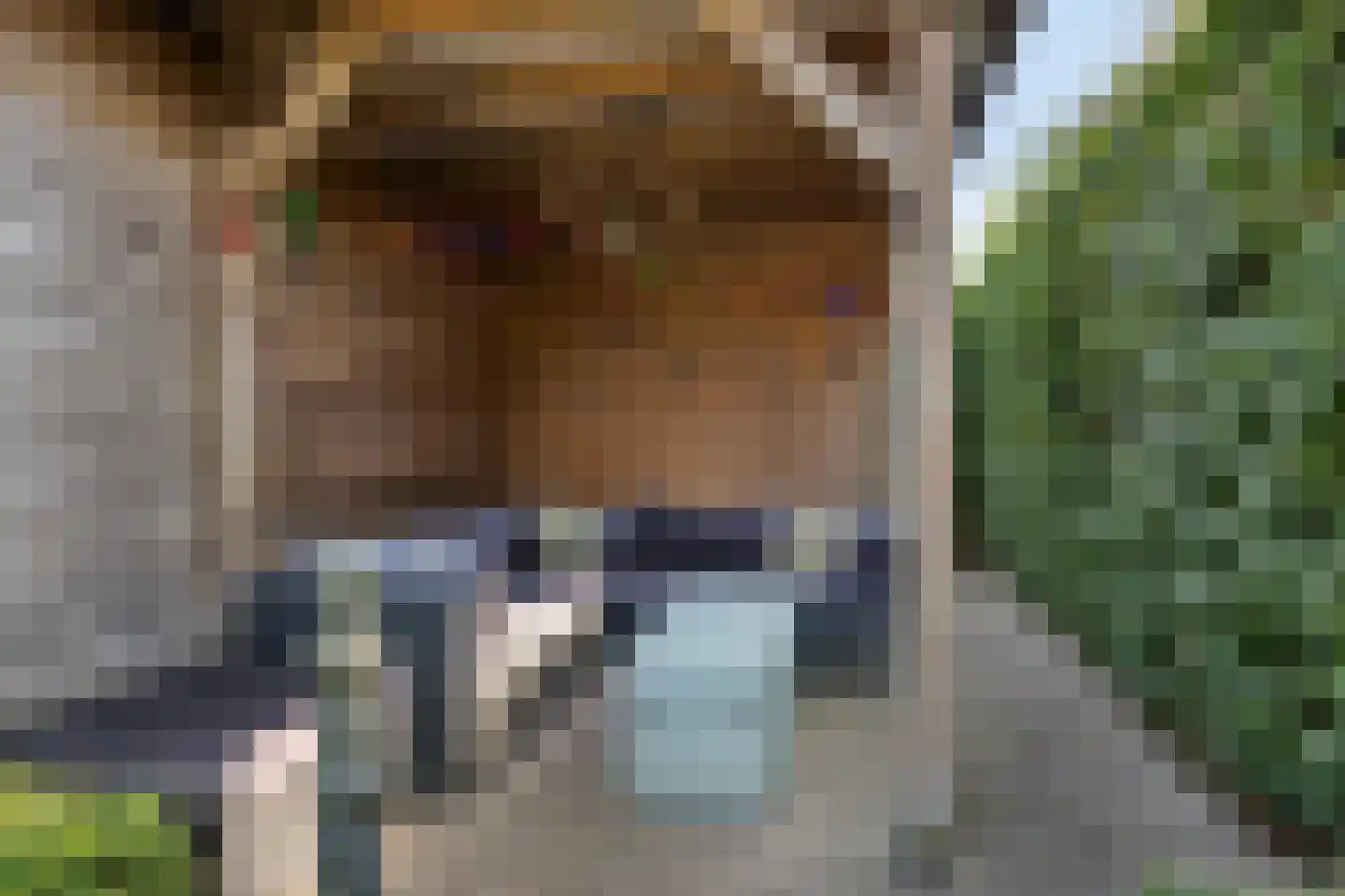 Willem de Haasstraat 6 Gemert thumbnail 30