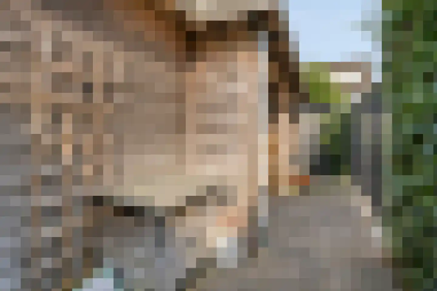 Willem de Haasstraat 6 Gemert thumbnail 32