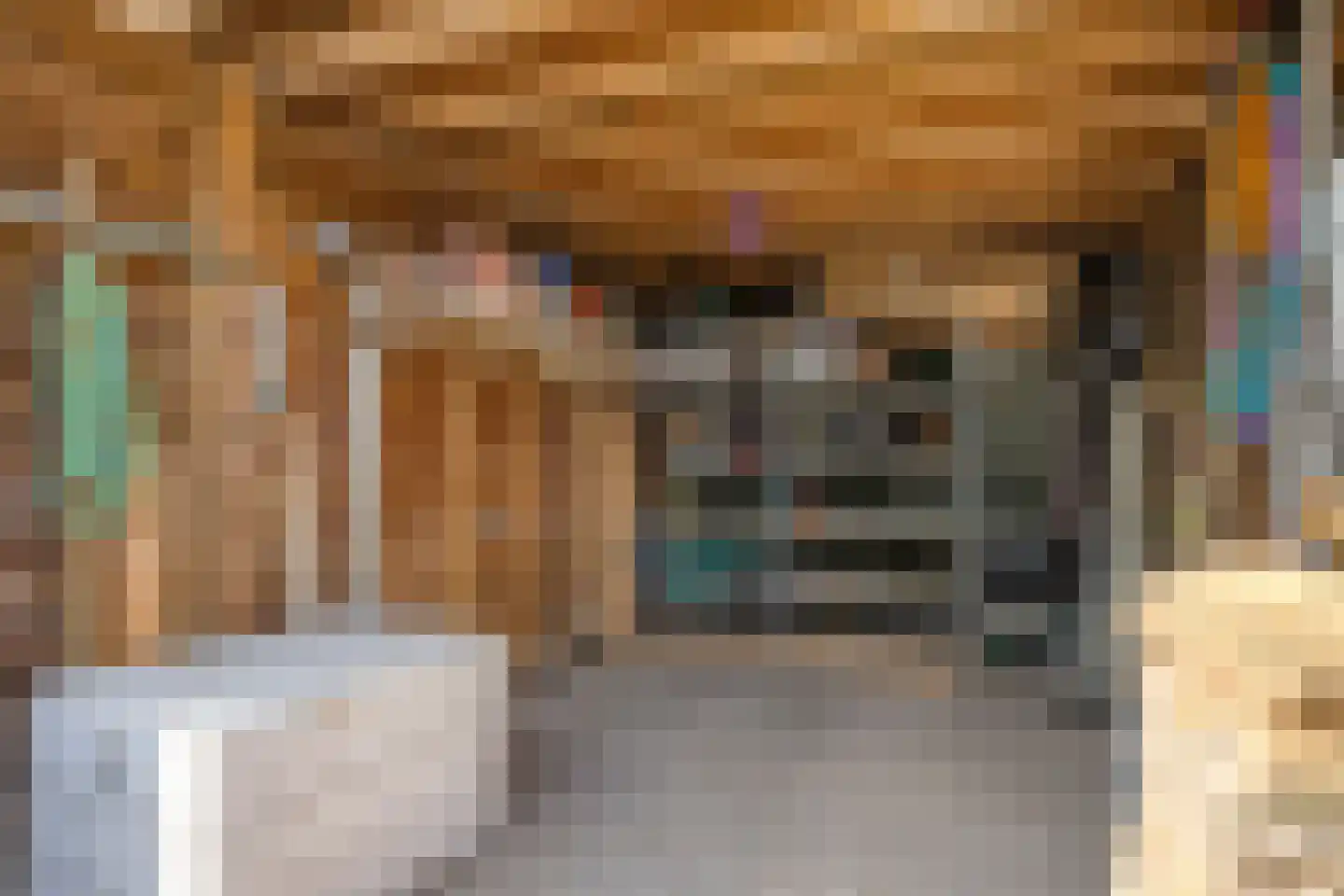 Willem de Haasstraat 6 Gemert thumbnail 33