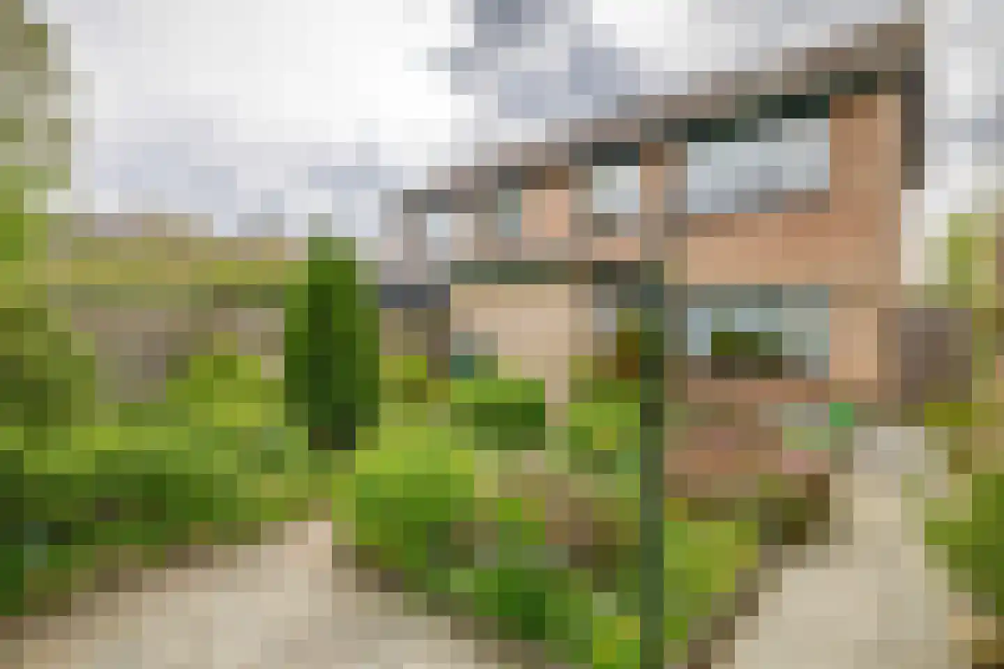 Willem de Jagerstraat 14 Stellendam thumbnail 33