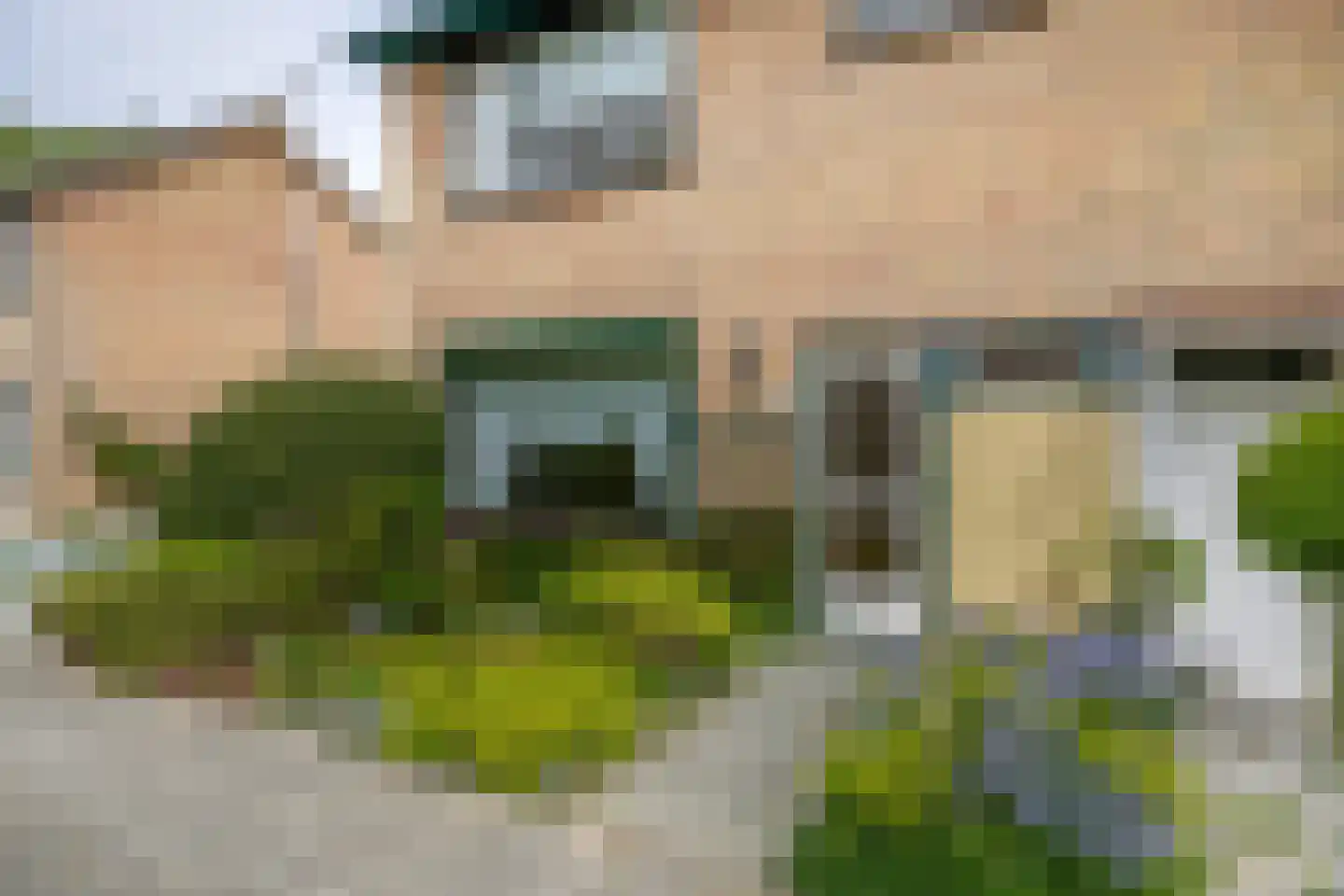 Willem de Jagerstraat 14 Stellendam thumbnail 7