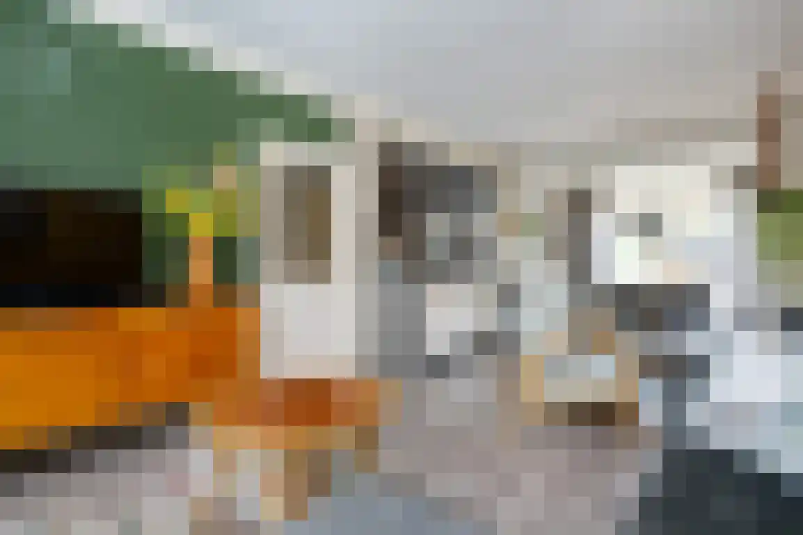 Willem de Jagerstraat 16 Stellendam thumbnail 11