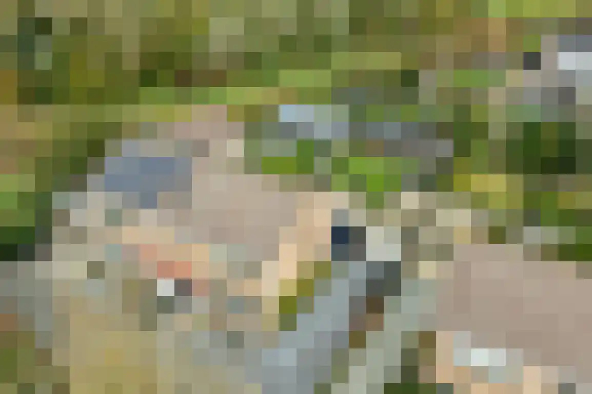 Willem de Jagerstraat 16 Stellendam thumbnail 36