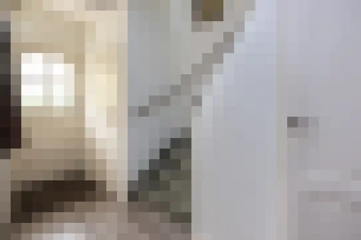 Willem de Jagerstraat 16 Stellendam thumbnail 6