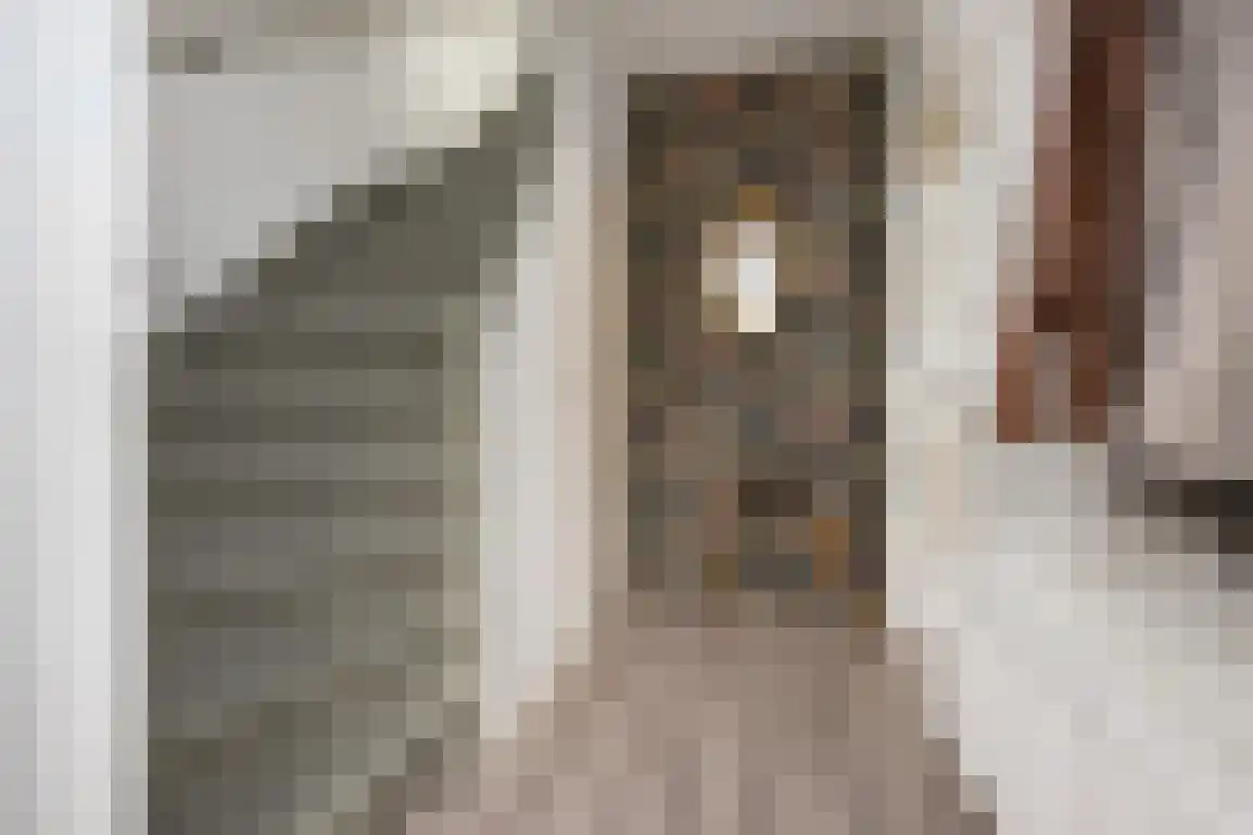 Willem de Jagerstraat 16 Stellendam thumbnail 7