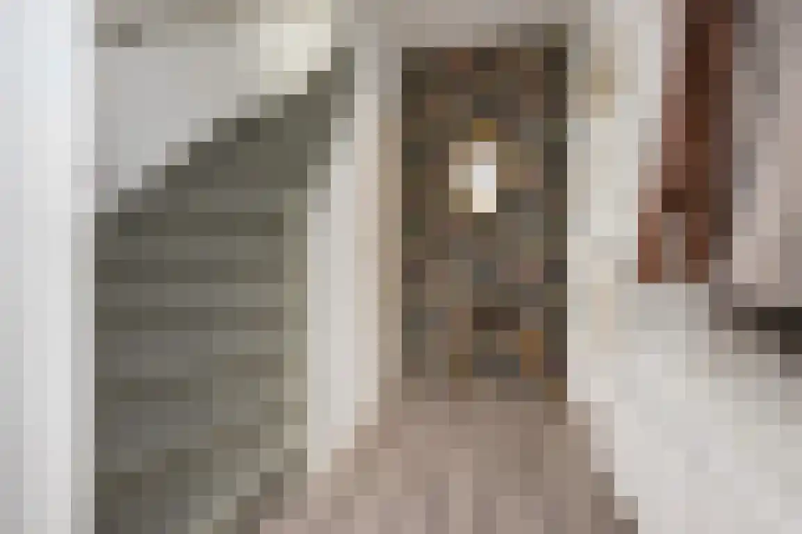 Willem de Jagerstraat 16 Stellendam thumbnail 7