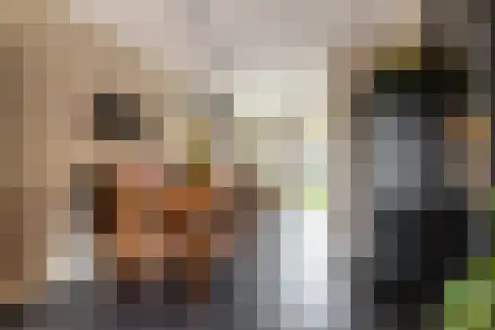 Willem de Kooningstraat 10 Dronten thumbnail 12